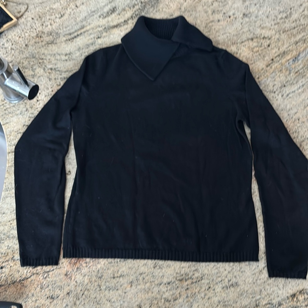 Ann Taylor Marino wool turtleneck